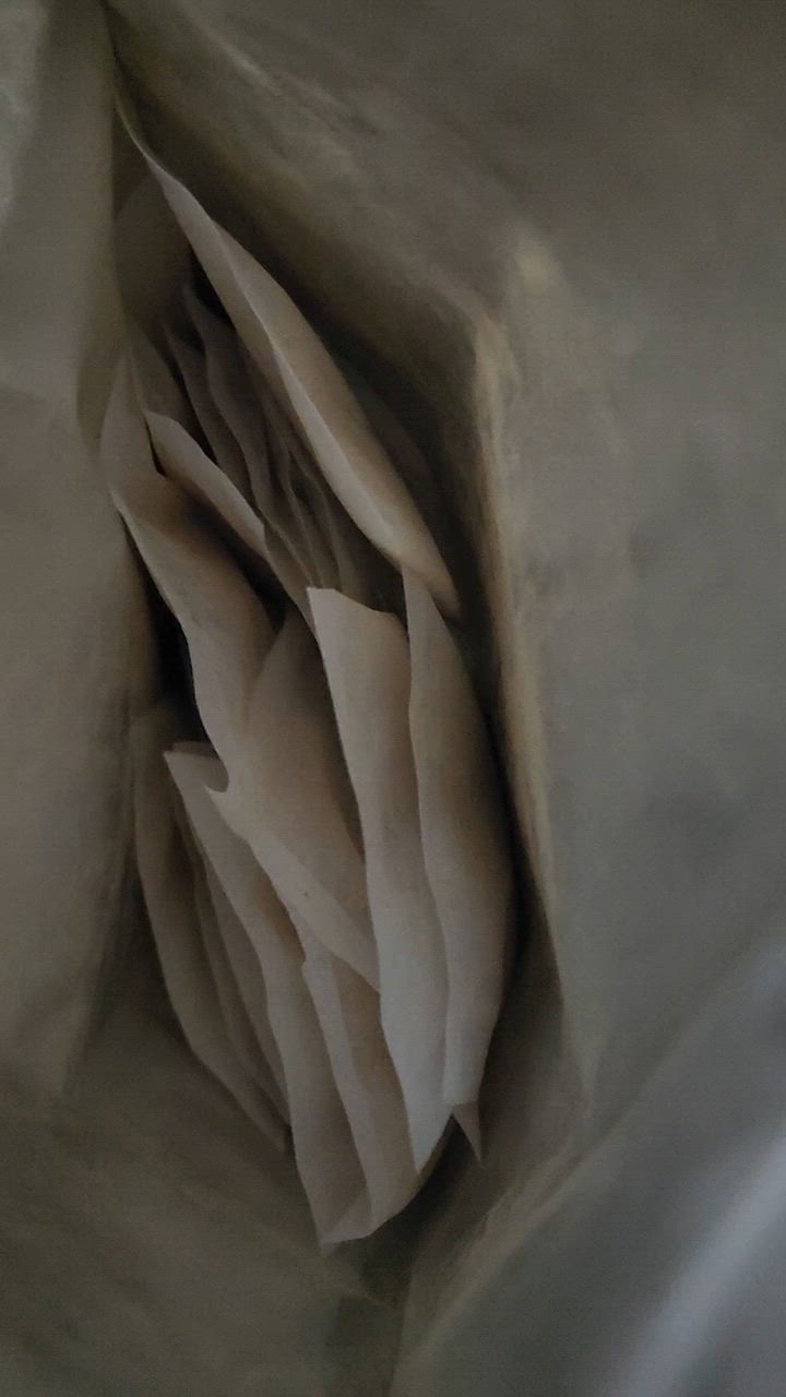 全体のレビュー動画のサムネイル | 8