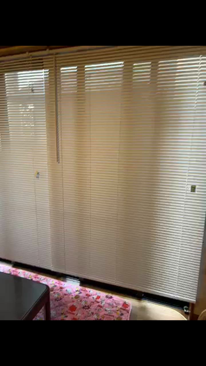 EーBLIND ブラインド ブラインドカーテン オーダー プラスチック