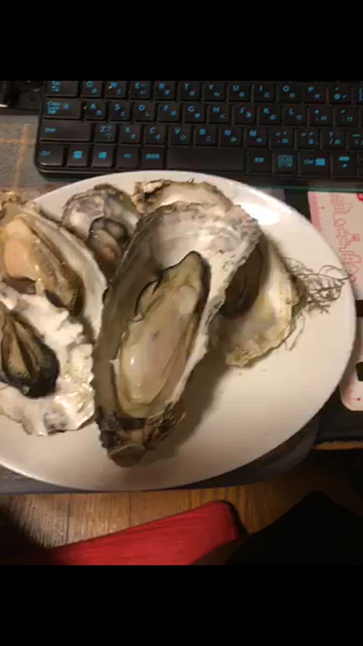 10件目のレビュー動画のサムネイル | 0