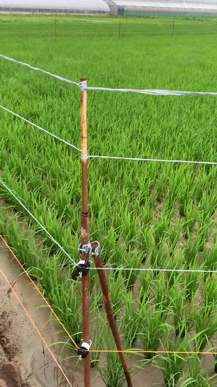 全体のレビュー動画のサムネイル | 3