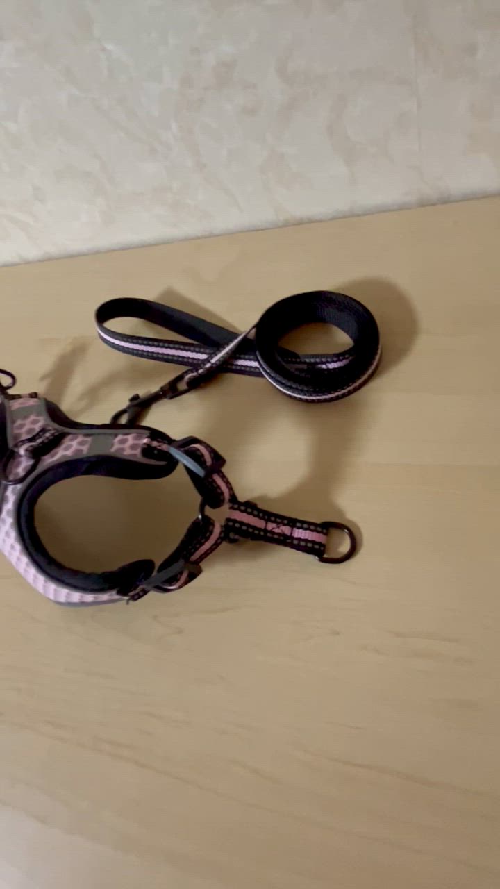 全体のレビュー動画のサムネイル | 4