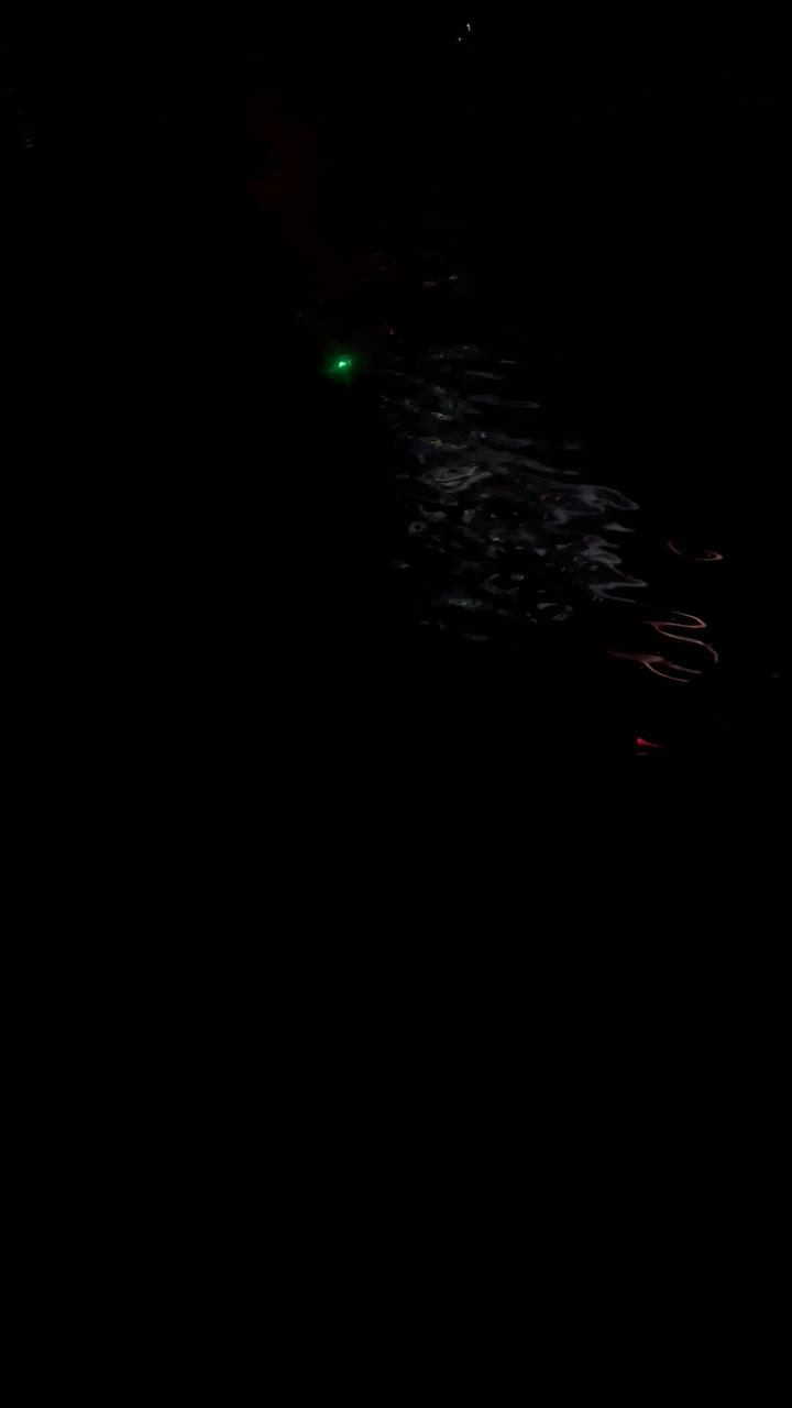 全体のレビュー動画のサムネイル | 0