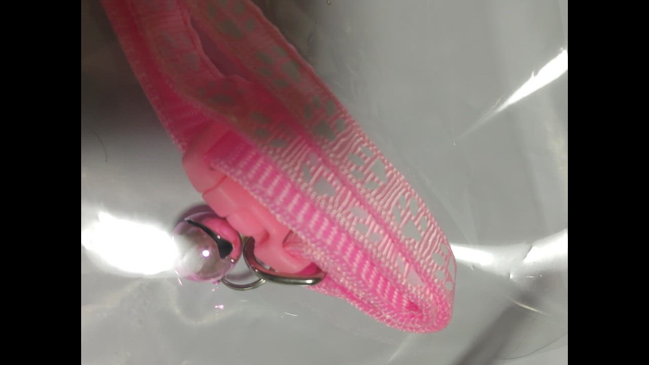 全体のレビュー動画のサムネイル | 5