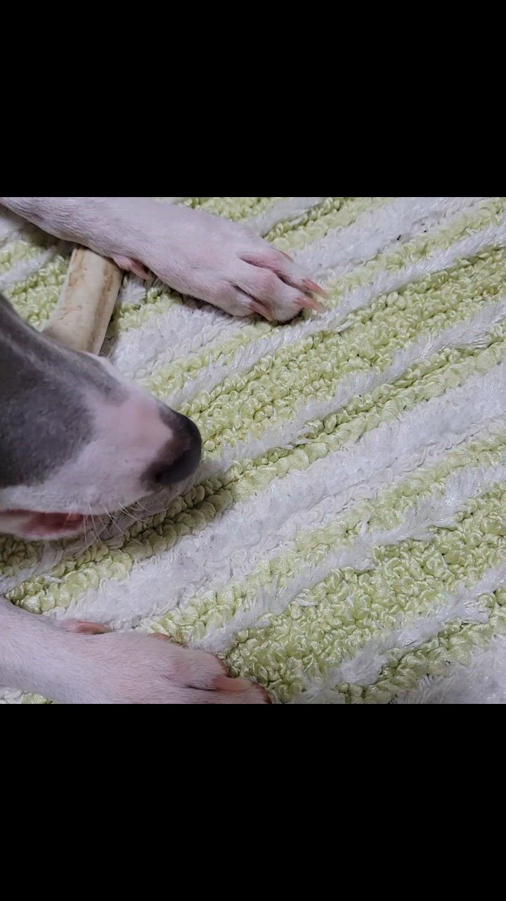 全体のレビュー動画のサムネイル | 10