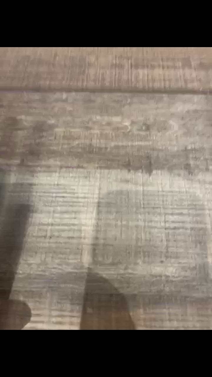 全体のレビュー動画のサムネイル | 17