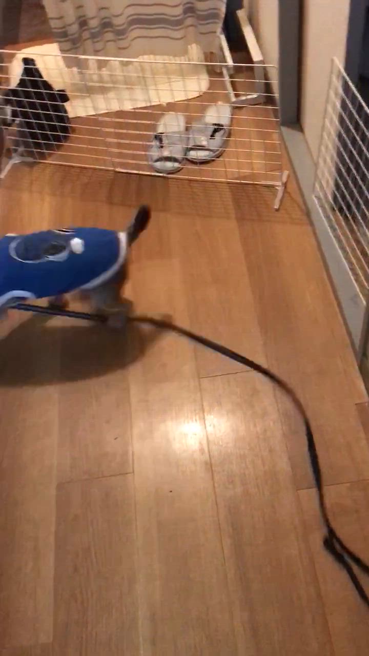 全体のレビュー動画のサムネイル | 1