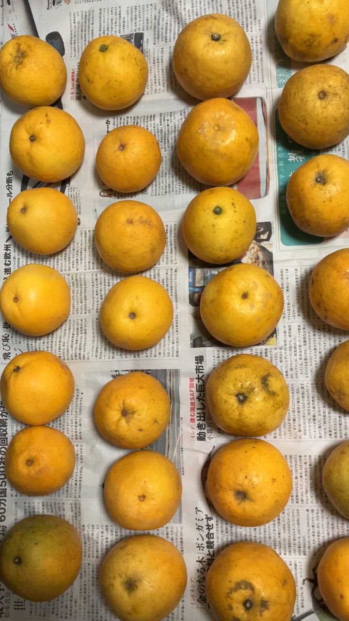 全体のレビュー動画のサムネイル | 14