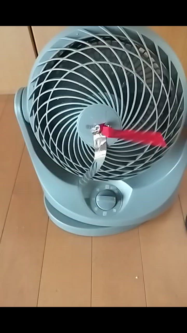 全体のレビュー動画のサムネイル | 13
