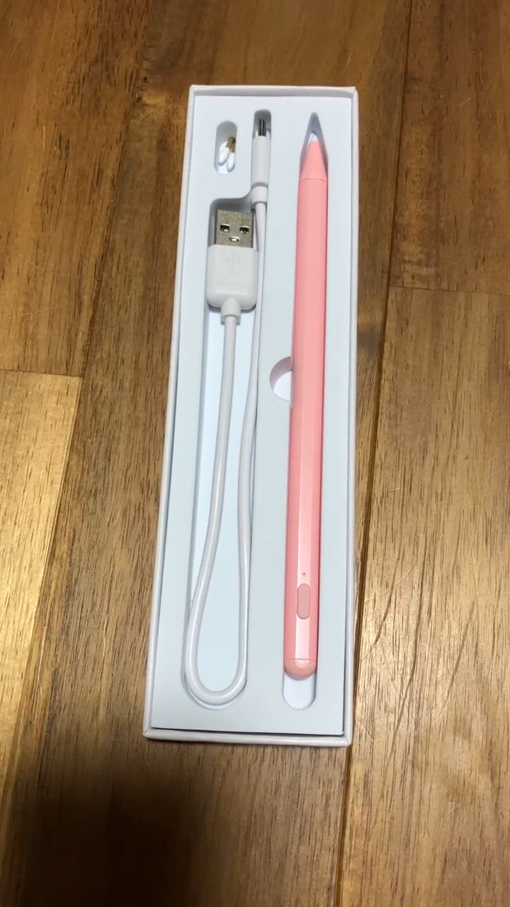 タッチペン iPad ペンシル スタイラスペン 高感度 typeC充電