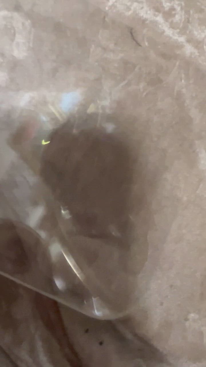 全体のレビュー動画のサムネイル | 2