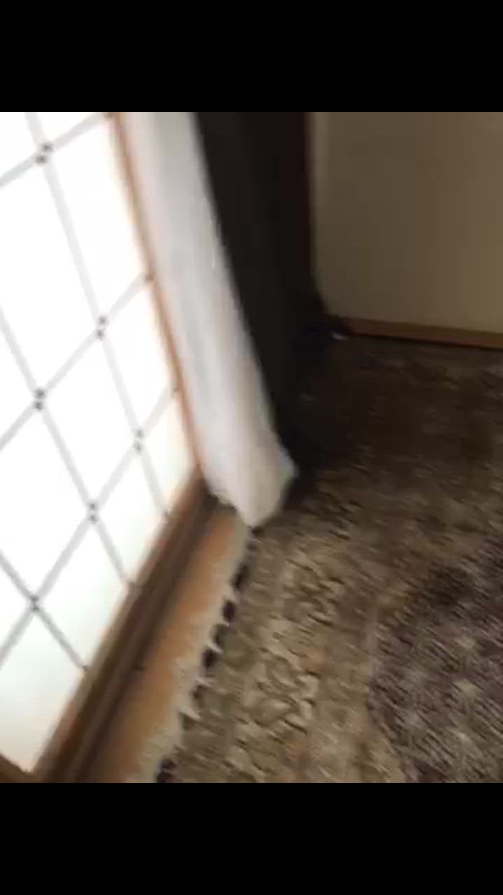 全体のレビュー動画のサムネイル | 2