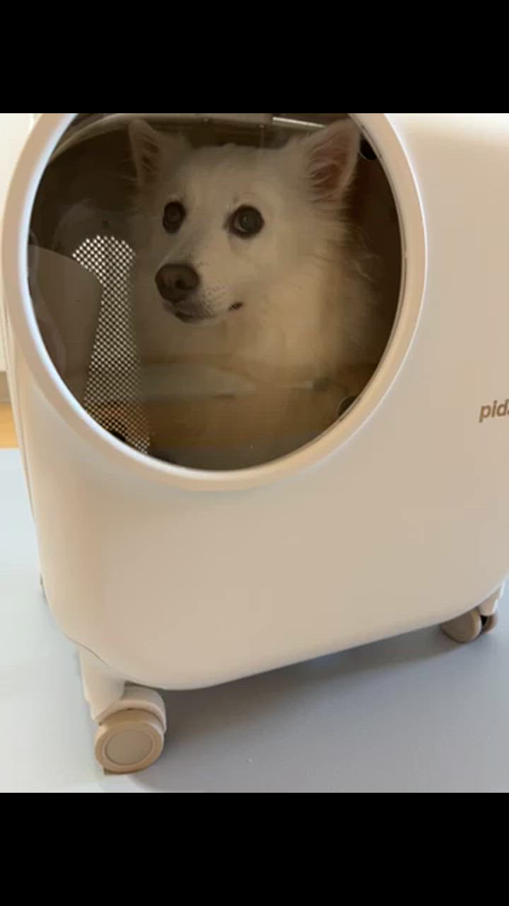 【新品】pidan ペットキャリー キャスター付き ペットキャリー 猫 犬 楽天市場】ピダン pidan 猫 犬 ペット用 キャリー バッグ