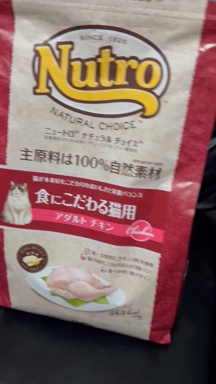 ナチュラルチョイス キャットフード ニュートロ 猫 フード 2kg ナチュラルチョイス キャットフード ニュートロ 猫 フード 2kg