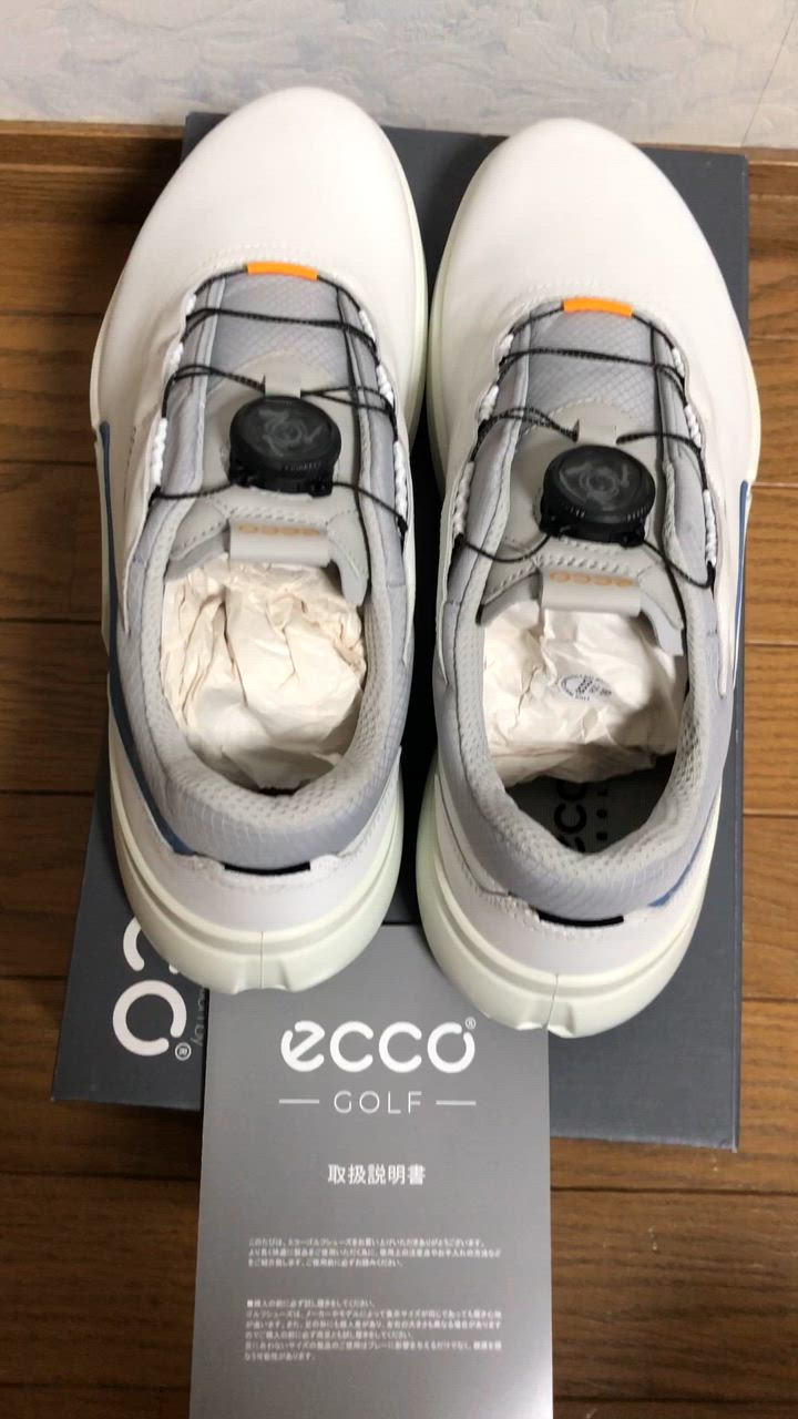 ecco ECCO エコー 日本正規品 BIOM H4 BOA バイオム エイチ