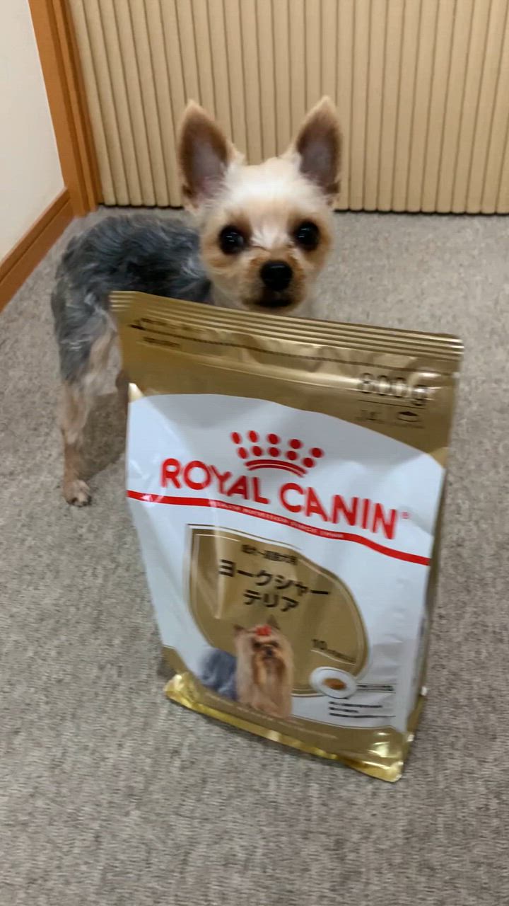 全体のレビュー動画のサムネイル | 7