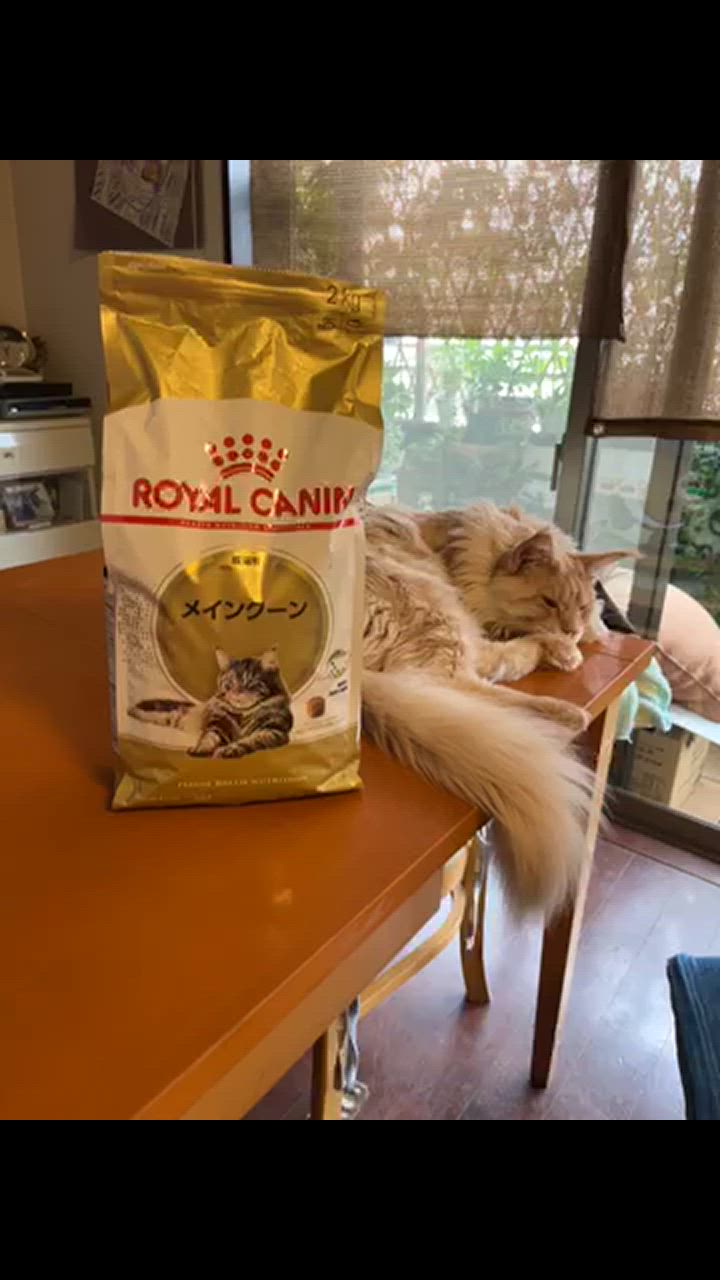 全体のレビュー動画のサムネイル | 3