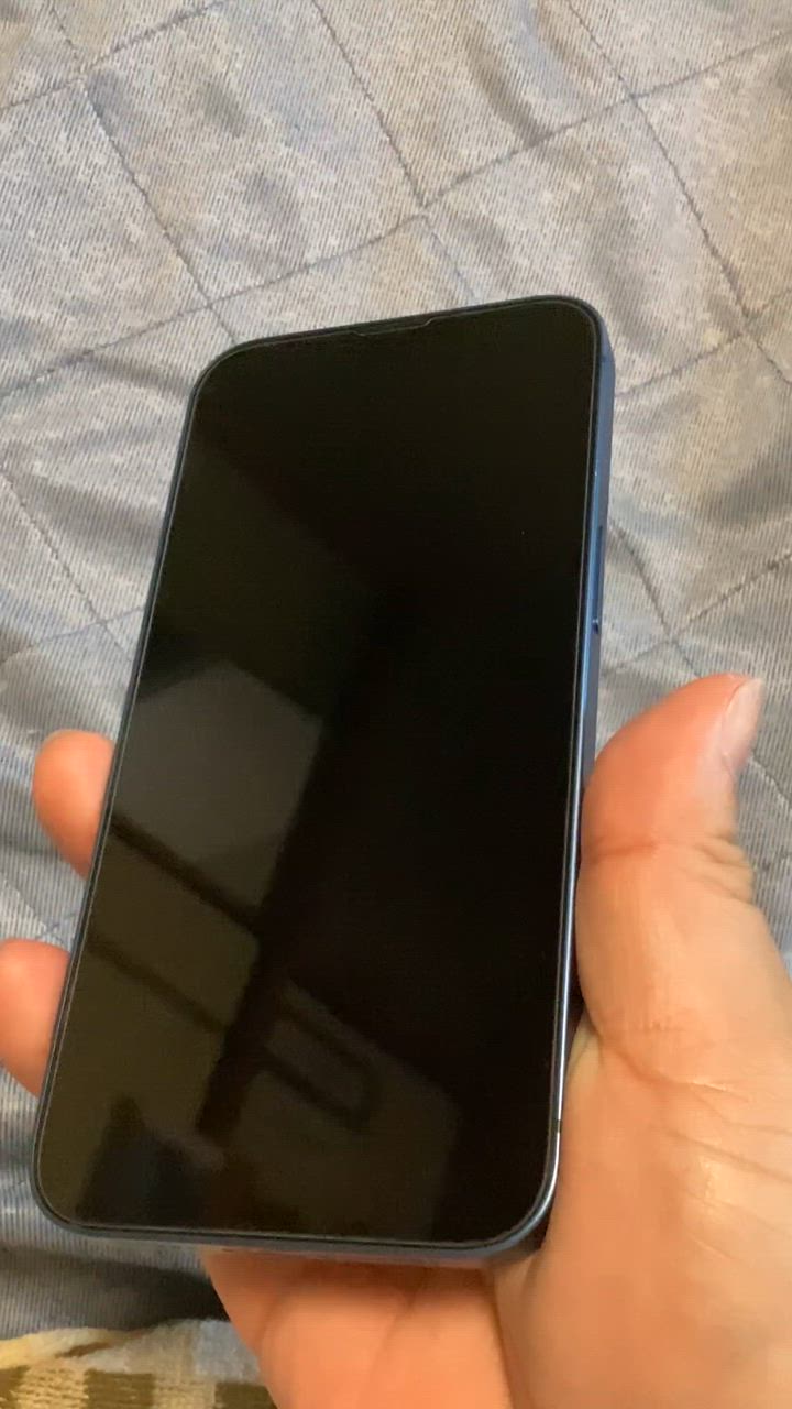 全体のレビュー動画のサムネイル | 14