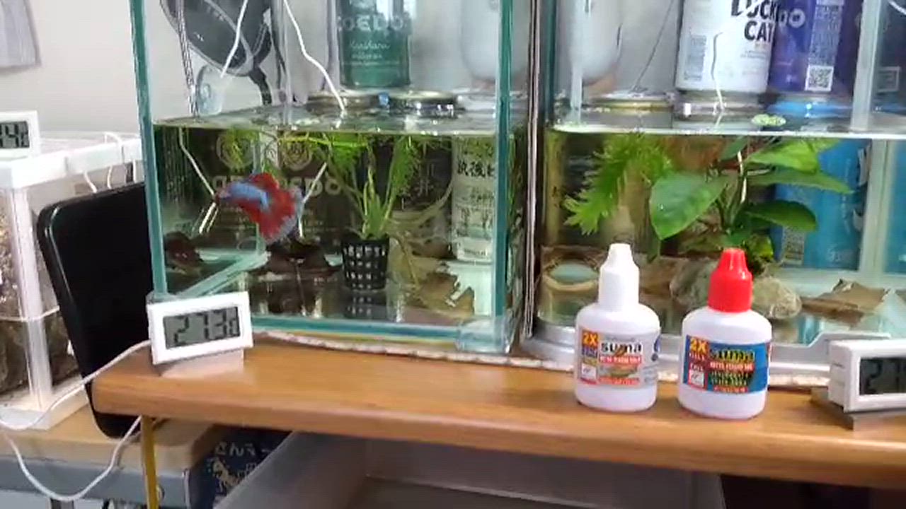送料無料！】スーマ デトックスバイオ suma detoxbio 10g ベタ用