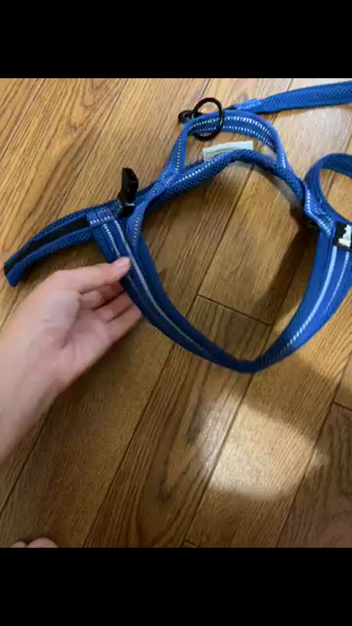 全体のレビュー動画のサムネイル | 3