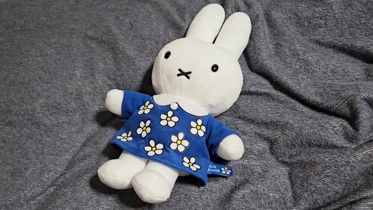 Miffy miffy Flower Dress ぬいぐるみ : セキグチダイレクト