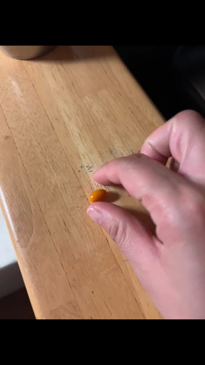 全体のレビュー動画のサムネイル | 9