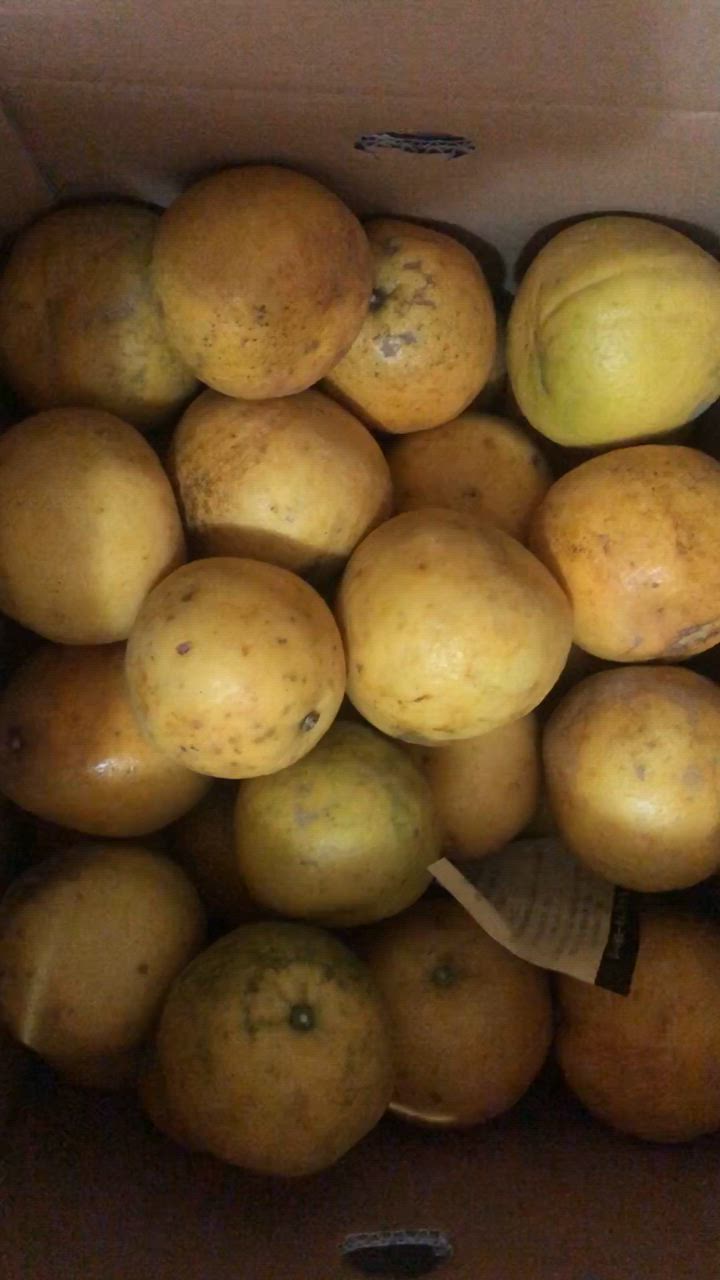 全体のレビュー動画のサムネイル | 13