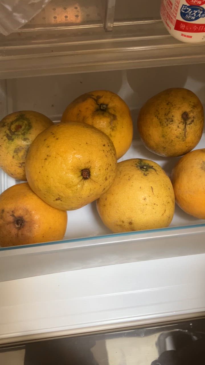 全体のレビュー動画のサムネイル | 12