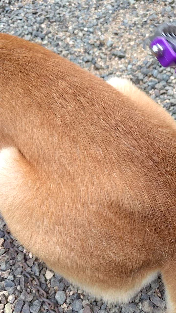 全体のレビュー動画のサムネイル | 2