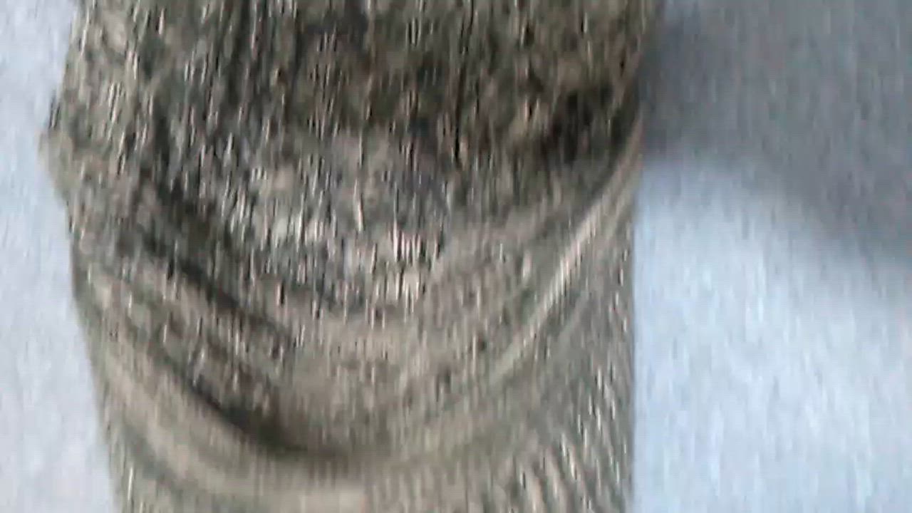 全体のレビュー動画のサムネイル | 1