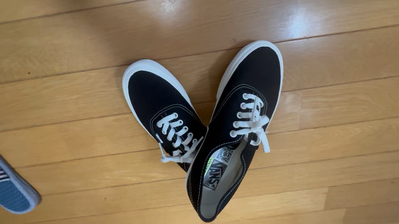 VANS ヴァンズ AUTHENTIC VR3 オーセンティックVR3 VN0005UD1KP