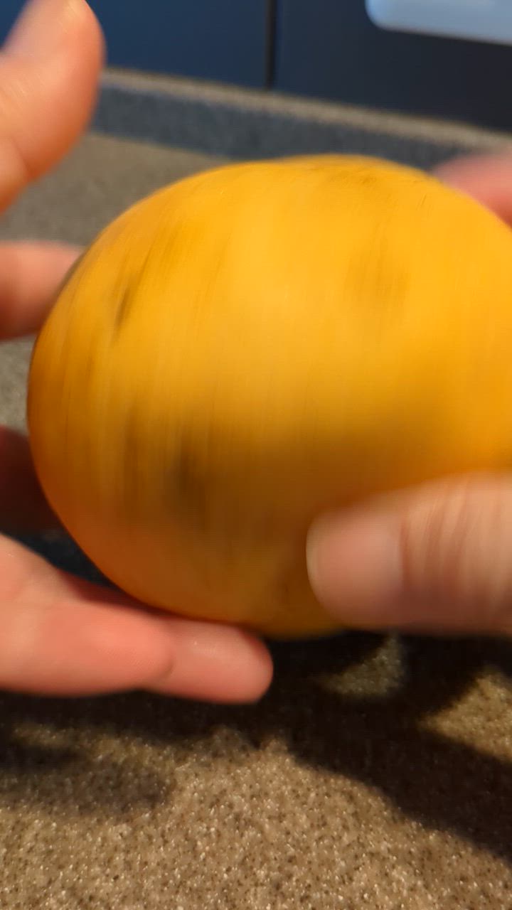 全体のレビュー動画のサムネイル | 11