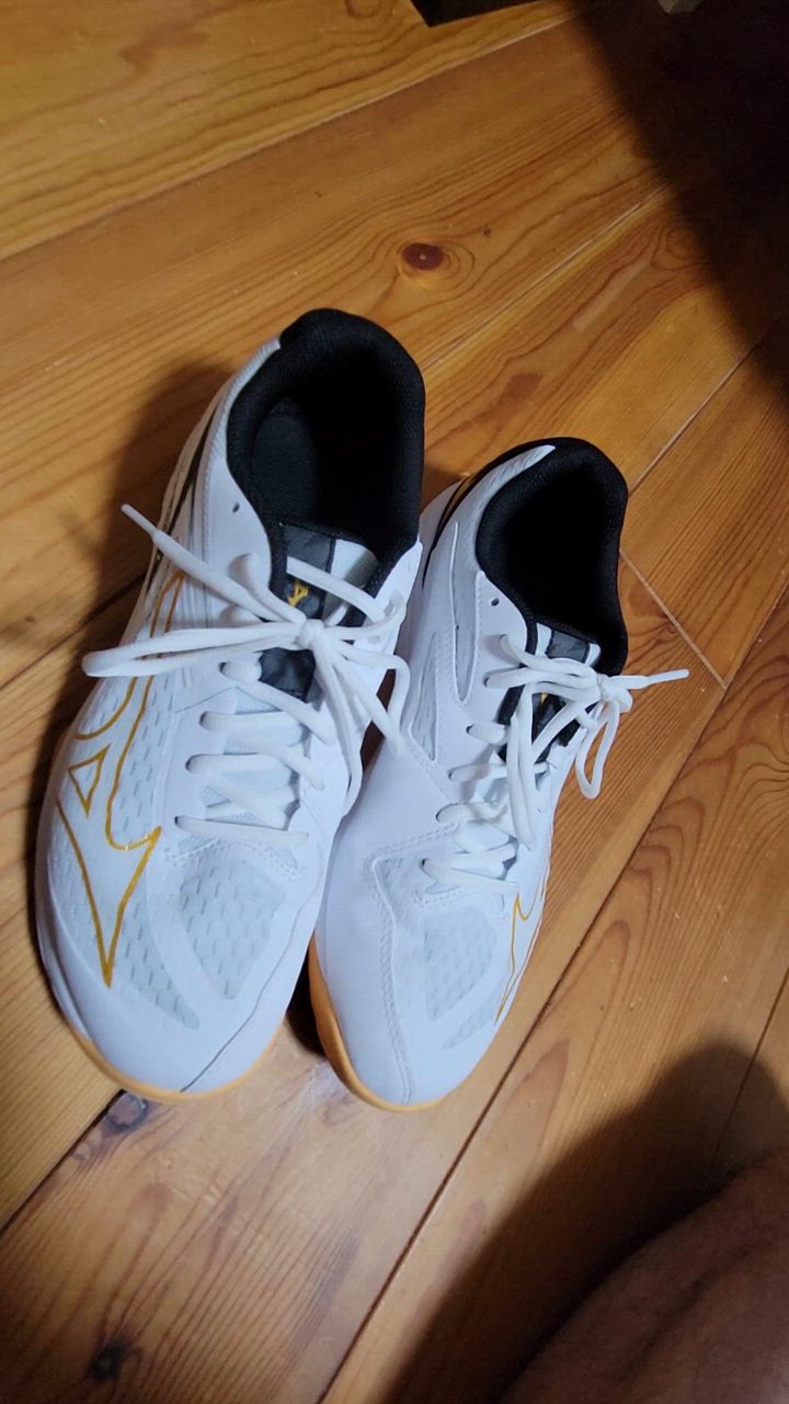MIZUNO ミズノ バレーボールシューズ メンズ レディース