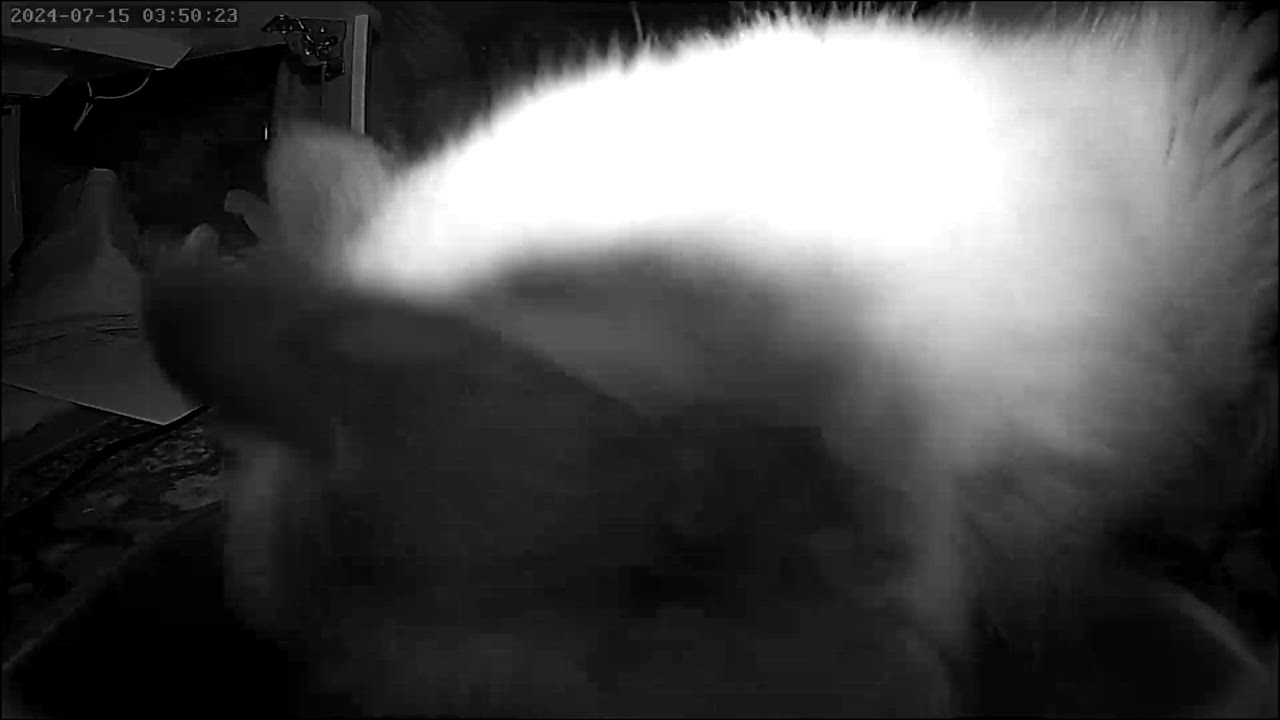1件目のレビュー動画のサムネイル | 0