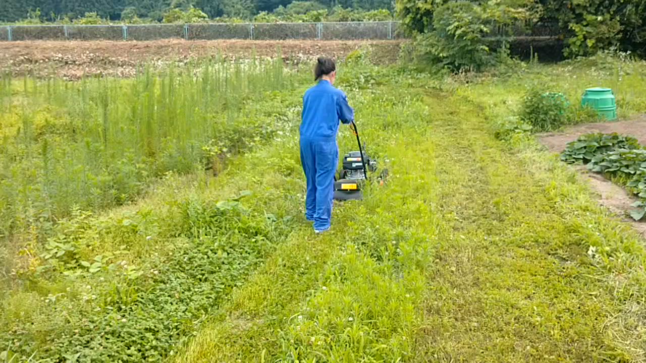 全体のレビュー動画のサムネイル | 10