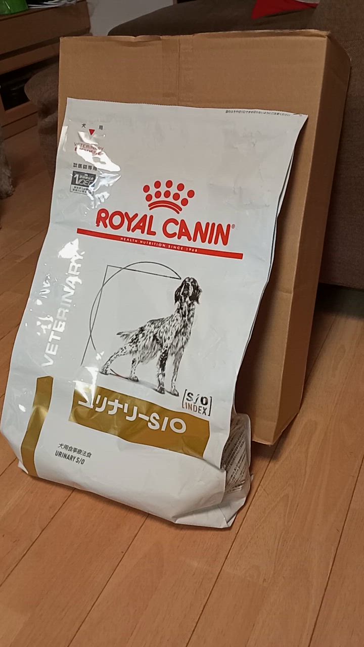 ロイヤルカナン 療法食 犬用 ユリナリーS/O ドライ 8kg : ペット