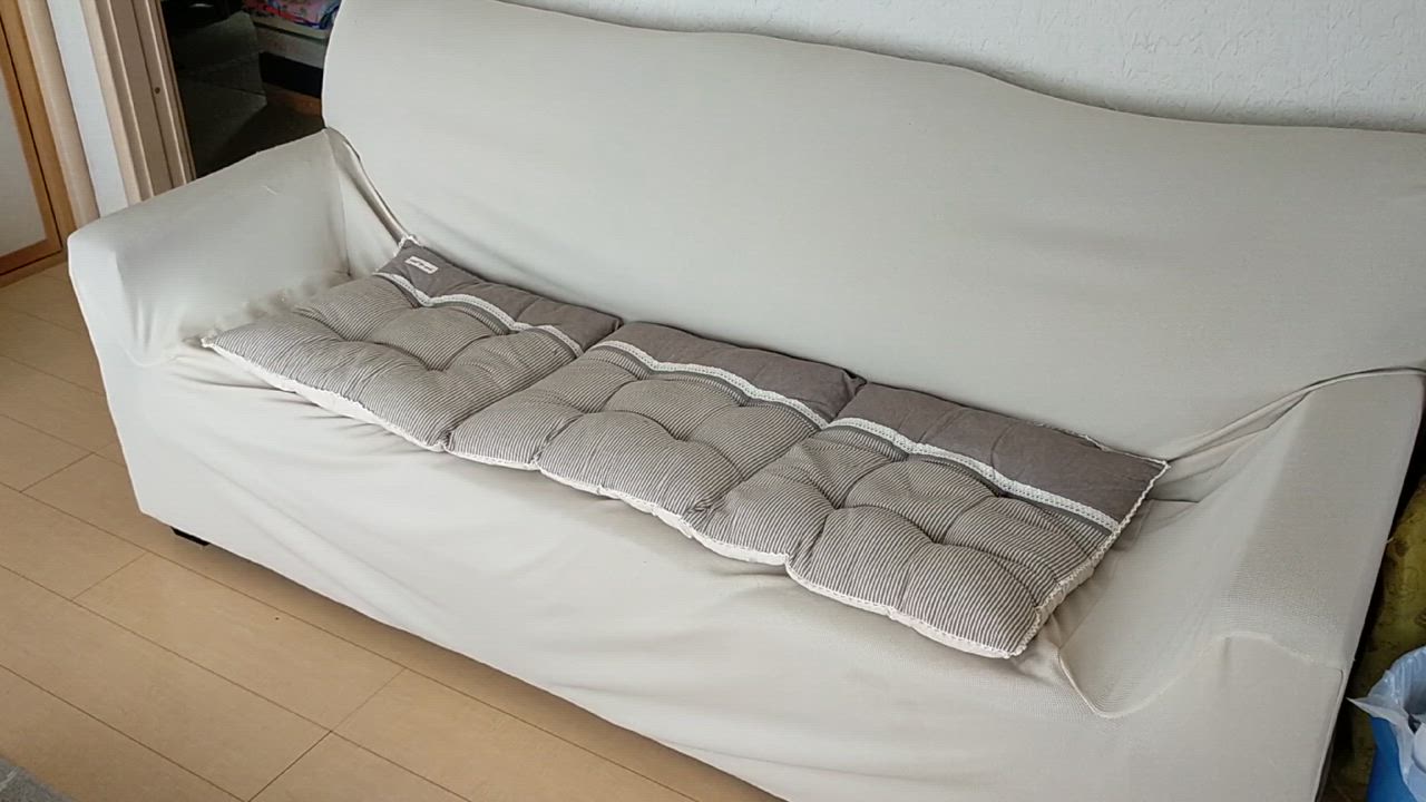 全体のレビュー動画のサムネイル | 13