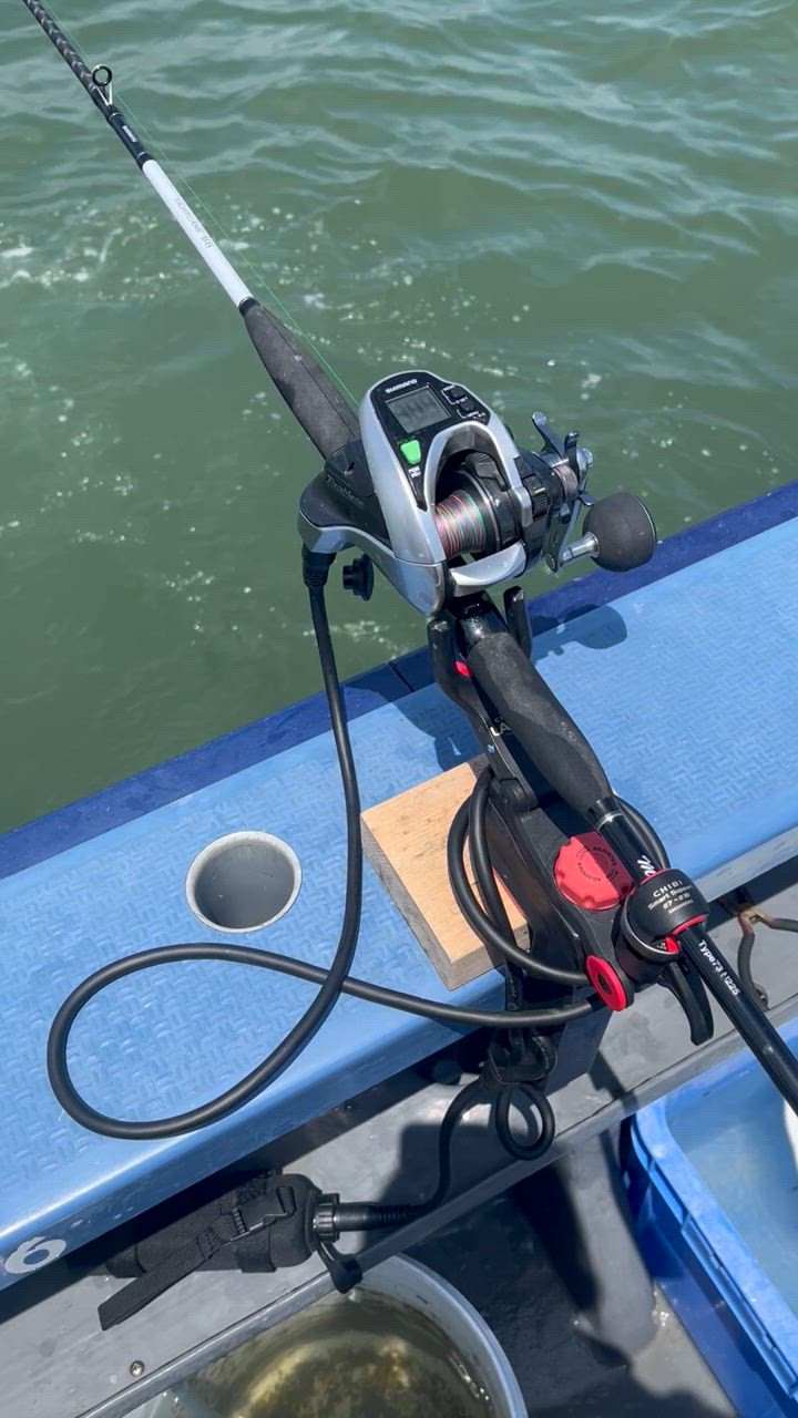 DAIWA SHIMANO ダイワ シマノ 電動リール 2芯、6芯 タイプ専用