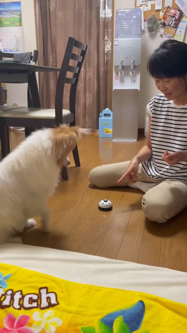 全体のレビュー動画のサムネイル | 2