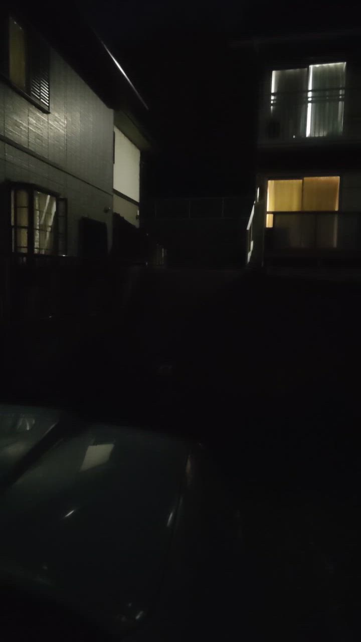 全体のレビュー動画のサムネイル | 17