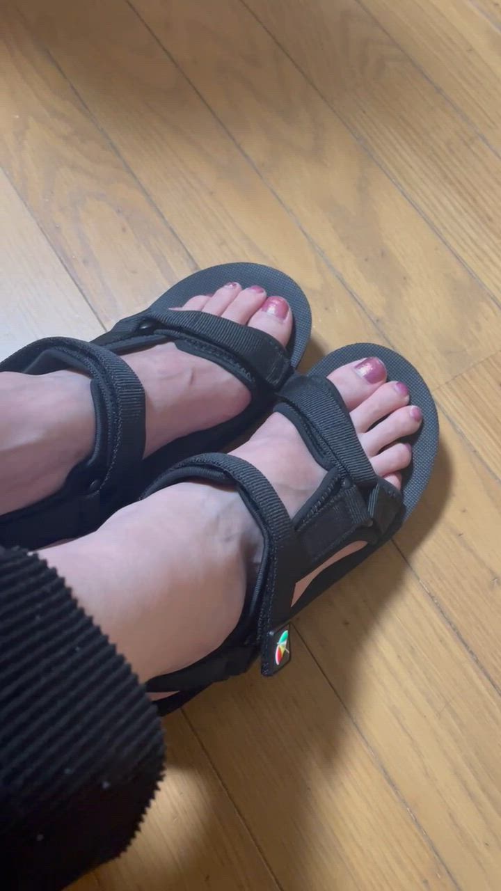 全体のレビュー動画のサムネイル | 6