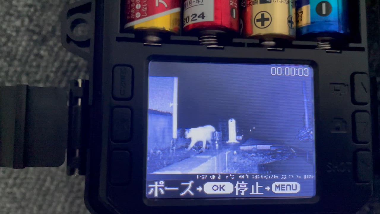全体のレビュー動画のサムネイル | 10