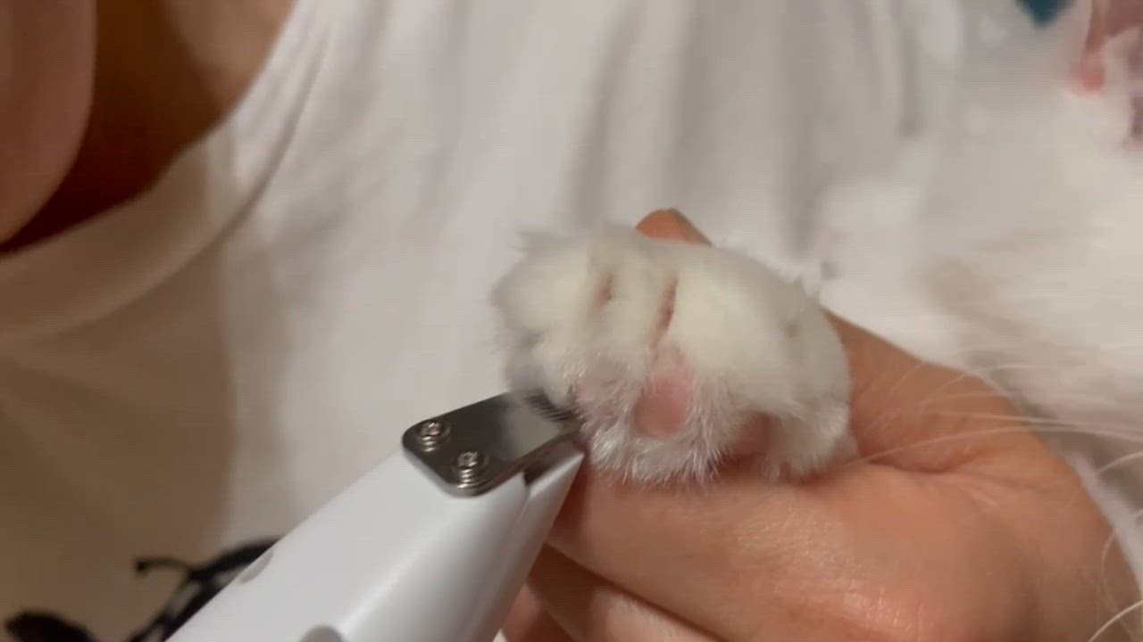 全体のレビュー動画のサムネイル | 0
