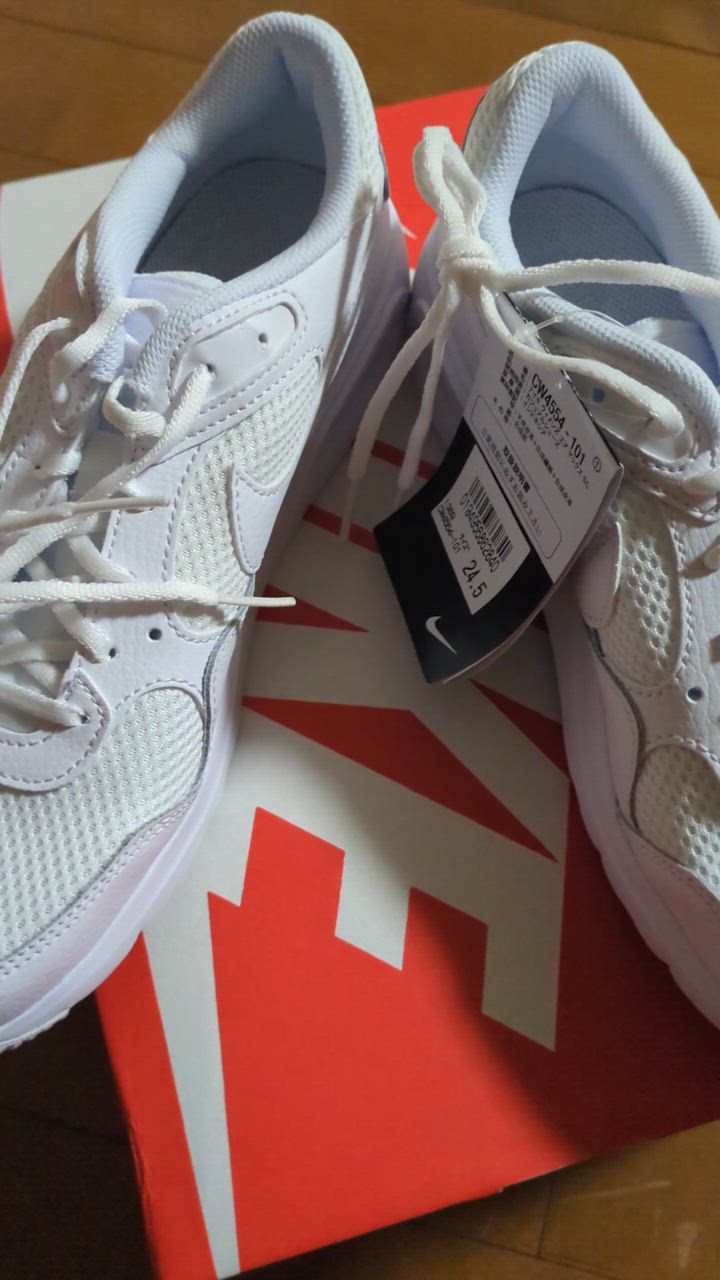 NIKE ナイキ エア マックス SC AIR MAX CW4554-101 レディース