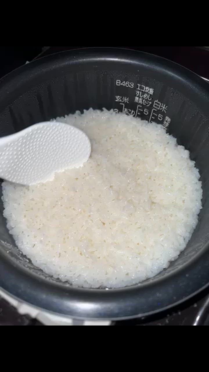 米 10kg コシヒカリ 石川県 能登米 5kg×2袋 令和6年 新米 お米 米 10kg コシヒカリ 石川県 能登米 5kg×2袋 令和6年 新米 お米
