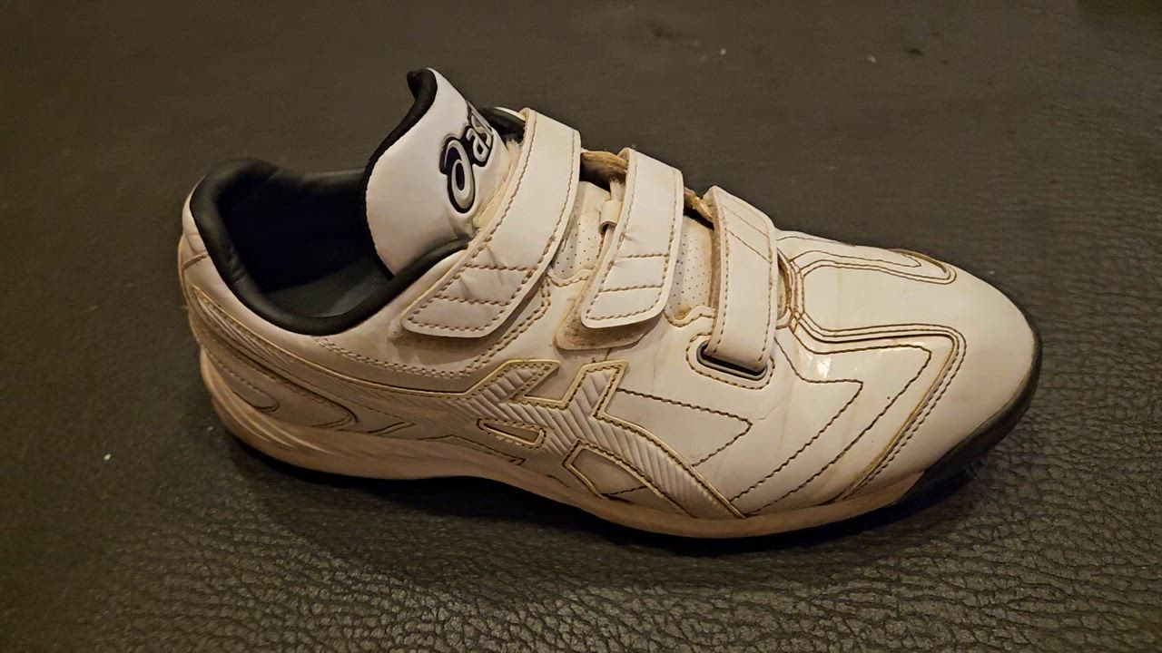 asics skatebording】 JAPAN PRO カラー：black/white