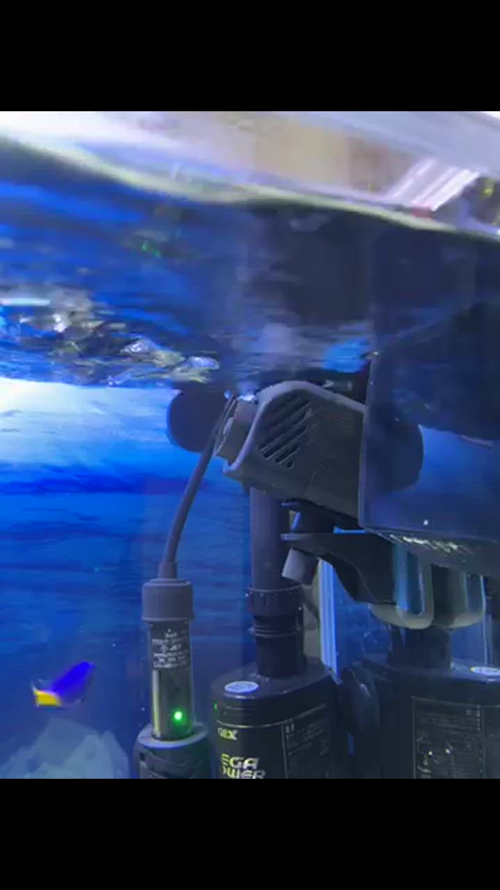 1件目のレビュー動画のサムネイル | 0