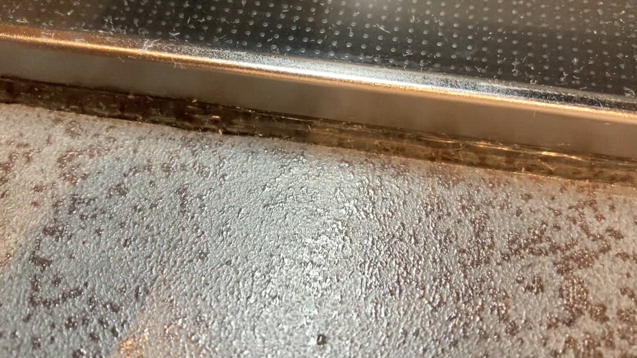 全体のレビュー動画のサムネイル | 0