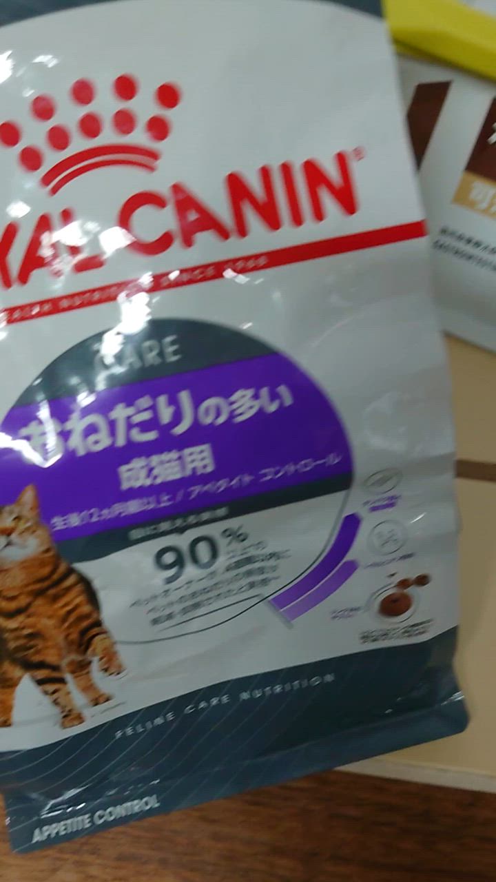 全体のレビュー動画のサムネイル | 6