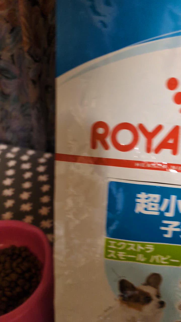 1件目のレビュー動画のサムネイル | 0