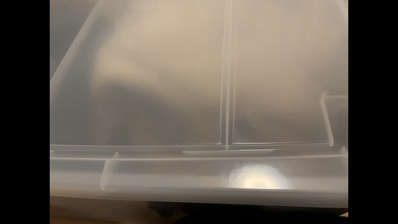 全体のレビュー動画のサムネイル | 3